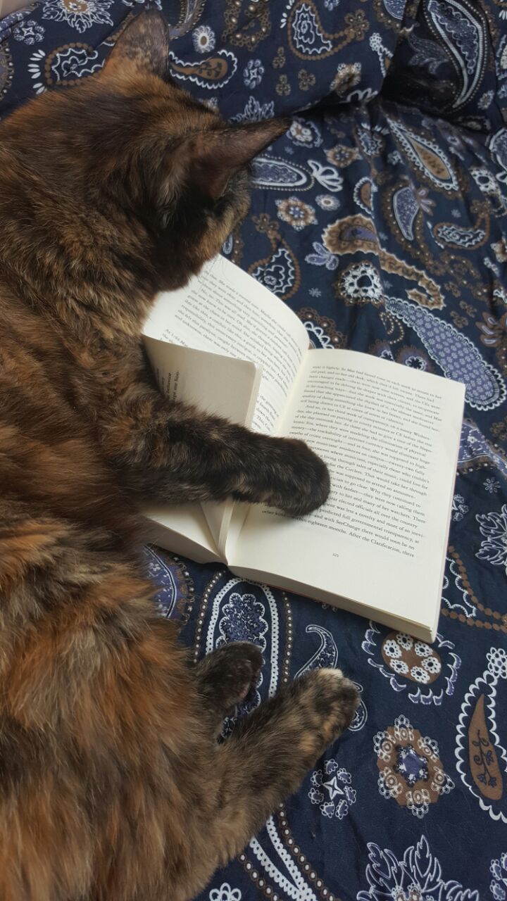 pic